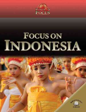 Focus on Indonesia de Sally Morgan