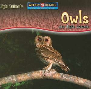 Owls Are Night Animals de Joanne Mattern