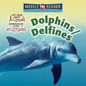 Dolphins/Delfines de Kathleen Pohl