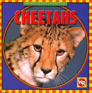 Cheetahs de Kathleen Pohl