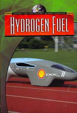 Hydrogen Fuel de Andrew Solway