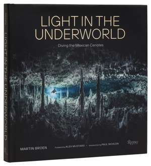 Light in the Underworld de Martin Broen