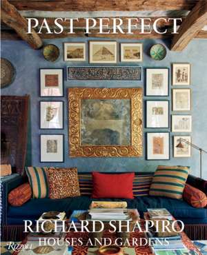 Past Perfect de Richard Shapiro