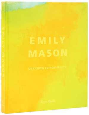 Emily Mason de Elisa Wouk Almino