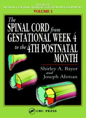 The Spinal Cord from Gestational Week 4 to the 4th Postnatal Month de Shirley A. Bayer