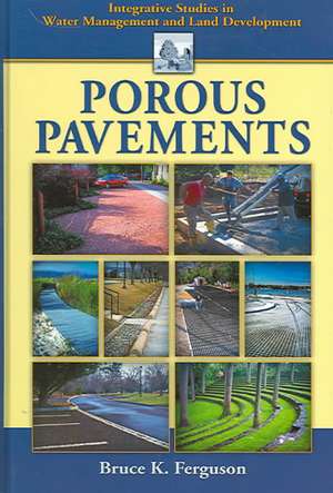 Porous Pavements de Bruce Ferguson