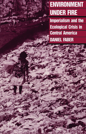 Environment Under Fire de Daniel J. Faber