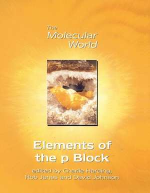 Elements of the P-Block de Lesley E. Smart