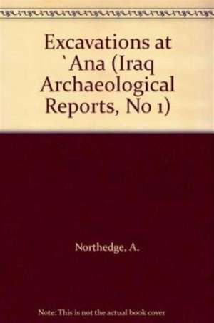 Excavations at Ana de A. Northedge