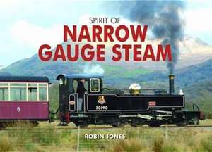 Spirit of Narrow Gauge Steam de Robin Jones