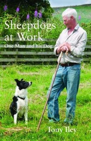 Sheepdogs at Work de Tony Iley