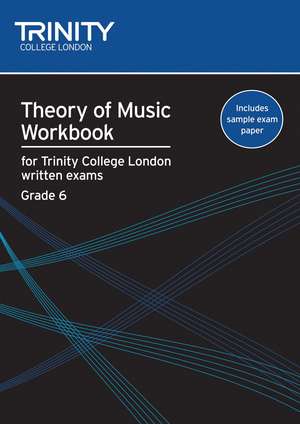 Theory of Music Workbook Grade 6 (2009) de Trinity College London