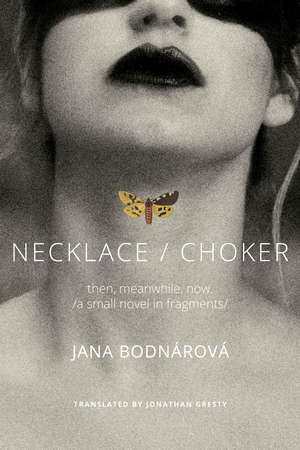 Necklace/Choker: then, meanwhile, now./a small novel in fragments/ de Jana Bodnárová