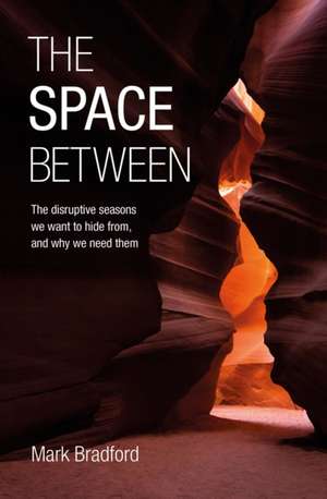 The Space Between de Mark Bradford