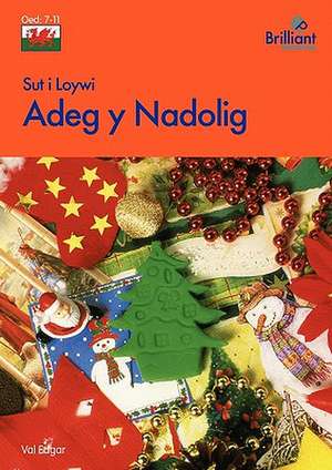 Sut I Loywi Adeg y Nadolig de Val Edgar