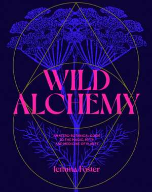 Wild Alchemy de Jemma Foster