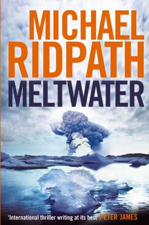 Meltwater de Michael Ridpath