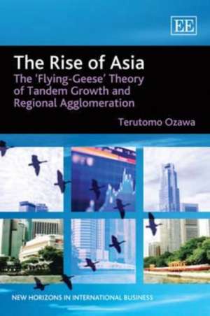 The Rise of Asia – The ′Flying–Geese′ Theory of Tandem Growth and Regional Agglomeration de Terutomo Ozawa