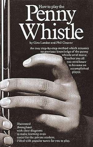 How to Play the Penny Whistle de Gina Landor