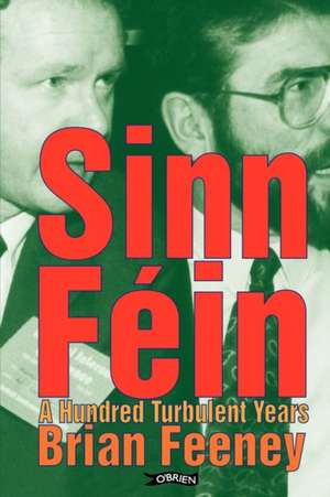 Sinn Fin: A Hundred Turbulent Years de Brian Feeney