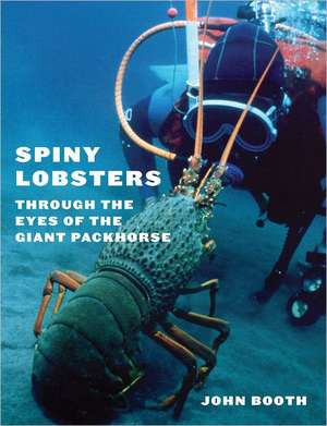 Spiny Lobsters: Through the Eyes of the Giant Packhorse de John Booth