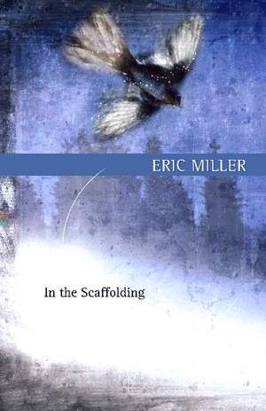 In the Scaffolding de Eric Miller