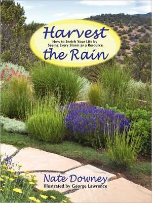 Harvest the Rain de Nate Downey