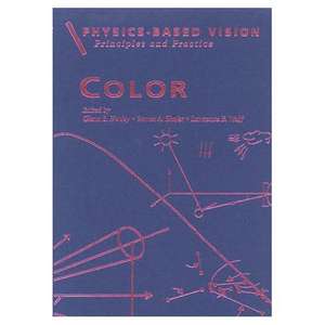 Physics-Based Vision: Principles and Practice: Color, Volume 2 de Lawrence B. Wolff