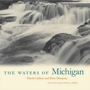  The Waters of Michigan de David Lubbers