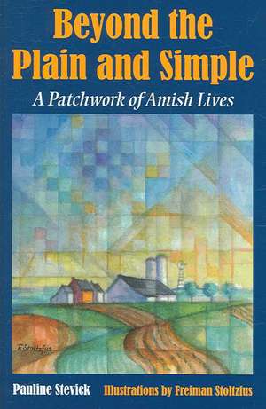 Beyond the Plain and Simple: A Patchwork of Amish Lives de Pauline Stevick