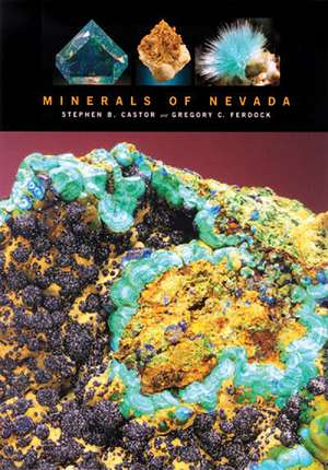 Minerals Of Nevada de Stephen B. Castor