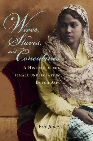 Wives, Slaves, and Concubines – A History of the Female Underclass in Dutch Asia de Eric Jones