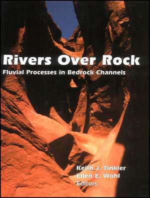 Rivers Over Rock – Fluvial Processes in Bedrock Channels V107 de KJ Tinkler