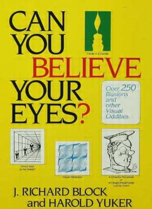 Can You Believe Your Eyes? de J. Richard Block