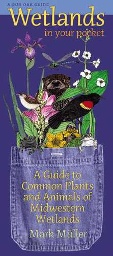 Wetlands in Your Pocket: A Guide to Common Plants and Animals of Midwestern Wetlands de Mark Muller