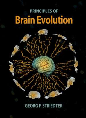 Principles of Brain Evolution de Georg F. Striedter