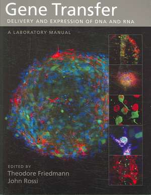 Gene Transfer: Delivery and Expression of DNA and RNA, a Laboratory Manual de Theodore Friedmann