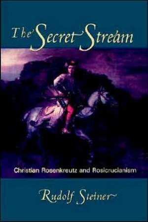 The Secret Stream de Rudolf Steiner