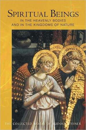 Spiritual Beings in the Heavenly Bodies and in the Kingdoms of Nature de Rudolf Steiner