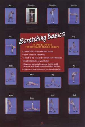 Stretching Basics Poster de Human Kinetics