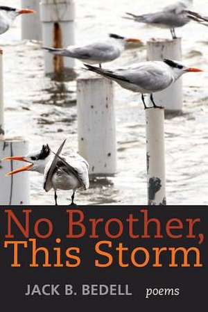 No Brother This Storm de Jack B Bedell