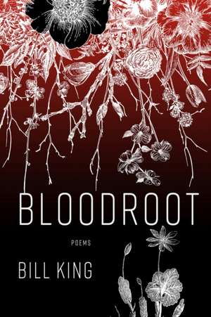 Bloodroot de Bill King