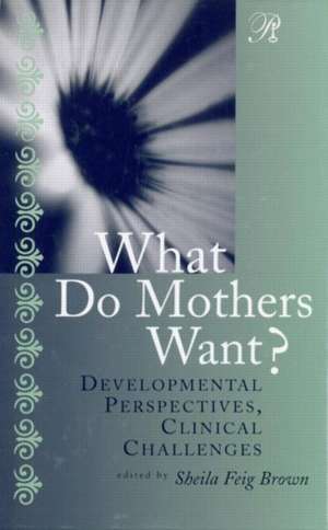 What Do Mothers Want?: Developmental Perspectives, Clinical Challenges de Sheila F. Brown