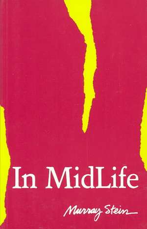 In Midlife: A Jungian Perpective de Murray Stein