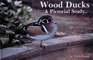 Wood Ducks: A Pictorial Study de Tricia Veasey