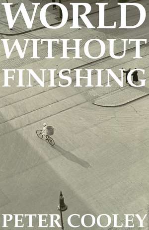 World Without Finishing de Peter Cooley