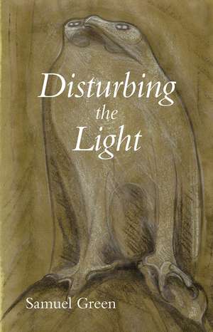 Disturbing the Light de Samuel Green