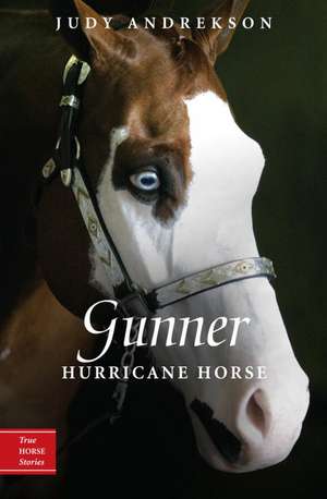 Gunner: Hurricane Horse de Judy Andrekson