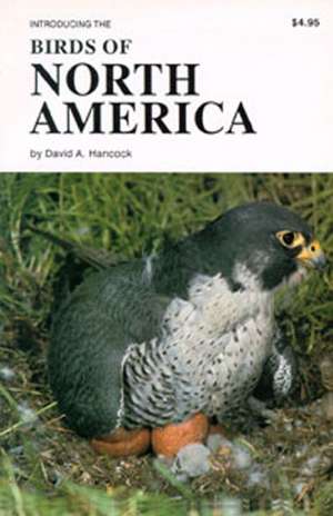 Birds of North America: Introducing the de David Hancock