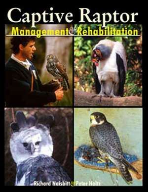 Captive Raptor: Management & Rehabilitation de Richard Naisbitt